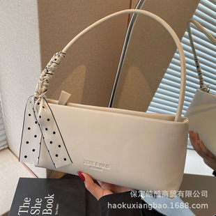 French Style Small Crowdsourcing Bag Women's 2025 Spring and Summer Popular New All-match High-end Texture Fashion Shoulder Bag Underarm Bag