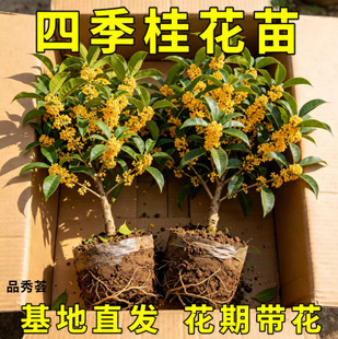�𻨘����ļ������Կ�ʳ���_�������҃��̨ͥԺ�����ͻ��ܾGֲ��
