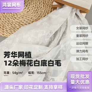 ����ֲ�q�W�� ���A�Wֲ12���С÷���W������ ������ͯ�b�鼆����