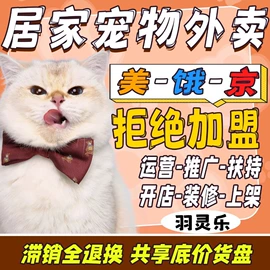 猫猫干粮;猫猫玩具;狗狗服装