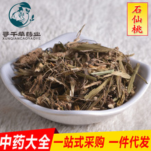 ��ǧ����ș�����l ʯ���� ʯ���� �����~ ʯ�ϙ� ֧�֙z�y �д�؛