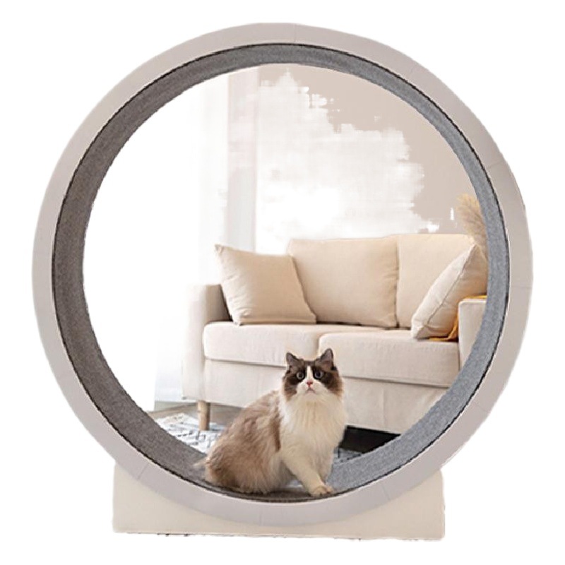 Juguete para gatos, cinta de correr deportiva para gatos, corredor grande, marco de escalada para gatos, rueda para correr, cinta de correr para gatos