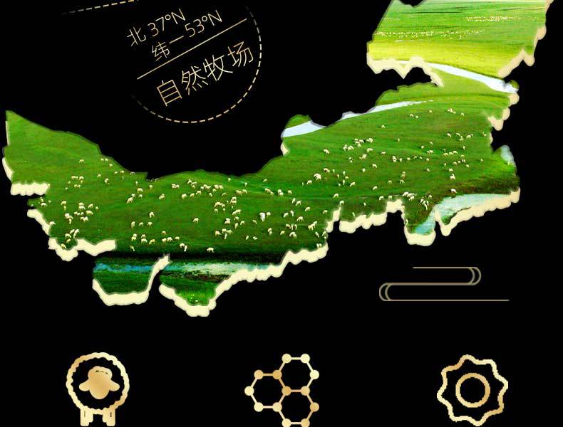 白条羊羔-恢复的_09