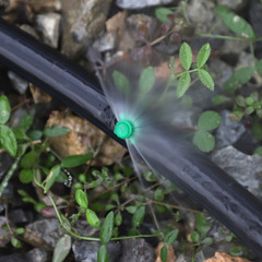 Small Fruit Spraying Nozzle with Multi-Angle Atomization, Unit Price Excluding Tax