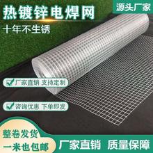 铁网子 铁网子品牌 图片 价格 铁网子批发 阿里巴巴