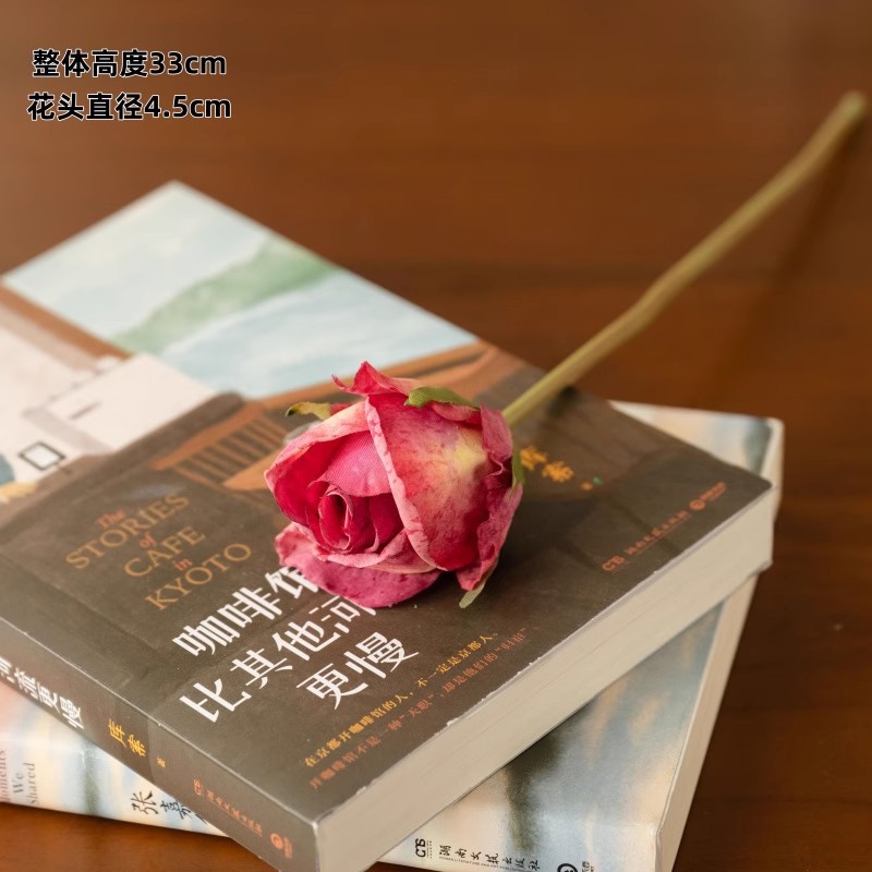 파리 앙고라 싱글 헤드 로즈 파우더 1개