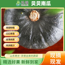板栗味小南瓜新鲜宝宝辅食南瓜粉糯营养丰富 贝贝南瓜价格