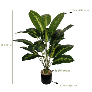 �羳����Gֲ���˽��Ž��~�㽶�҃ȿ͏d�Ҿ��b@�־��^�G������