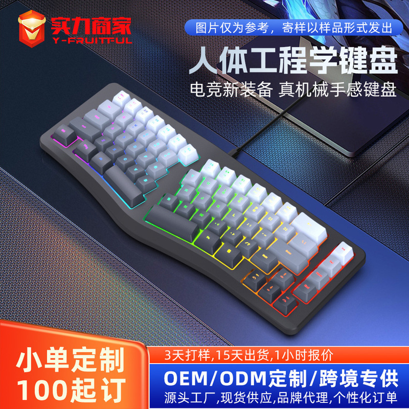 Cross-Border In-Stock G131 Ergonomic Design Gaming Keyboard 69 Keys Rgb Gradient Color Mechanical Feel Keyboard