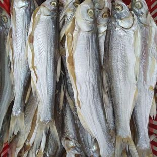 �������~��С�~�~�^��؛�r�ҵ�ˮ�~�L�ɵ��Ӵ��N����l