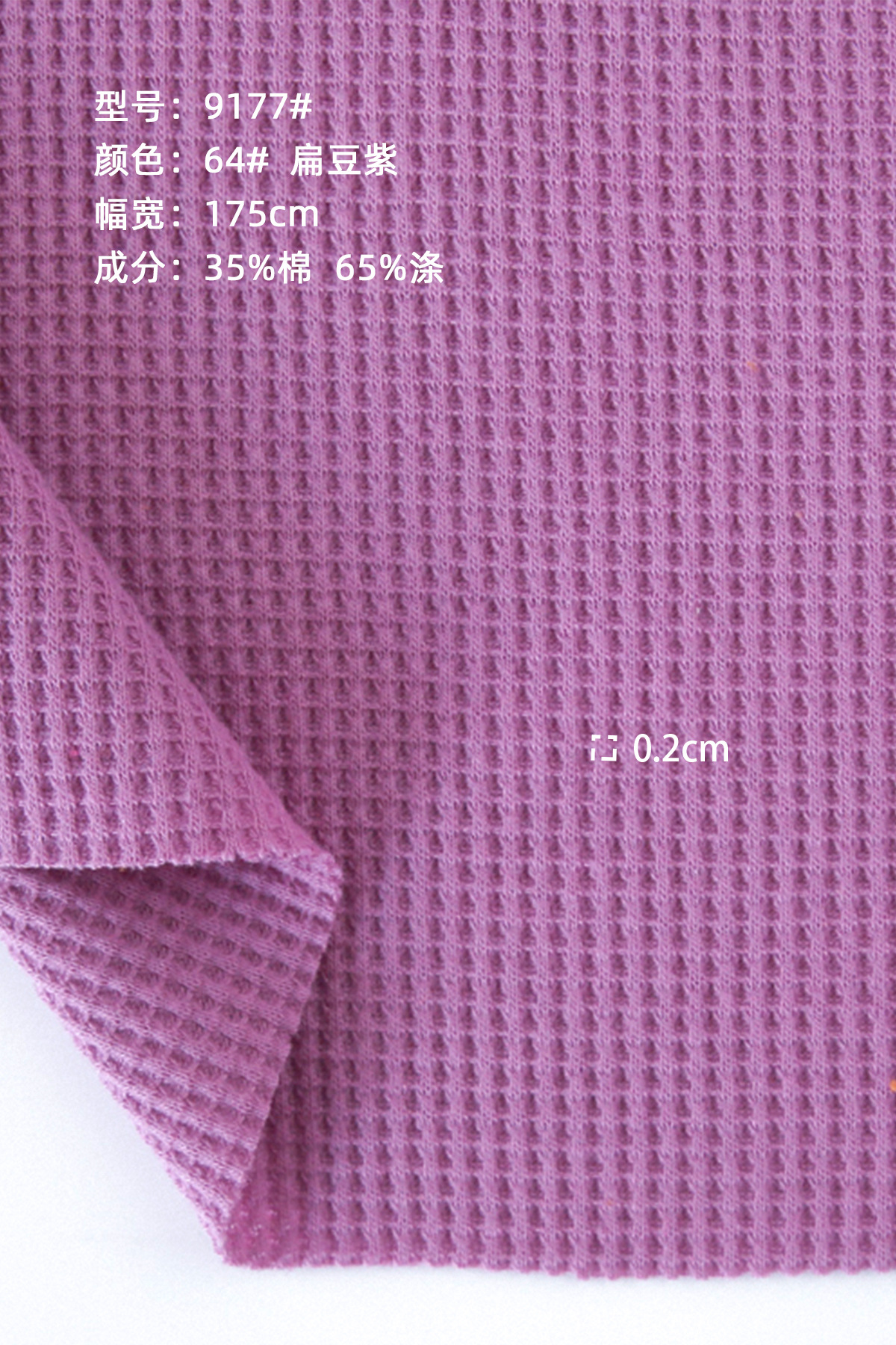 64 # 렌즈 콩 퍼플