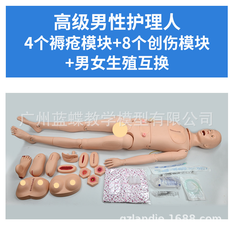 ���廤����ѵ ��Ů����ҽѧ ��ʿ������ѵ ��ɩ����֪ʶ����ģ��