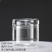 露集杯生态苔藓植物玻璃玻璃罩盆栽迷你创意微观办公室盆景微景观