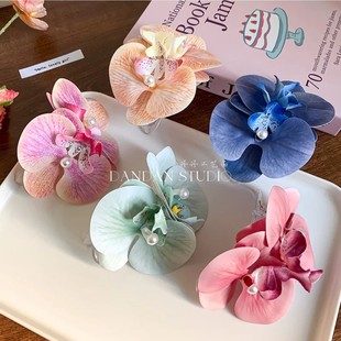 �ɐۺ����m����A���������l����߅��������l�AŮ���ζȼ��L�l�