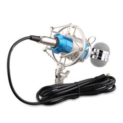 Factory direct power supply capacitor microphone BM-8000 wired microphone karaoke recording live broadcast microphone small bottle