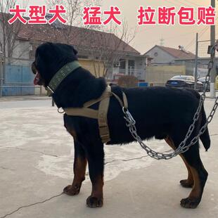 �_���{���à����K��������Ȯ�ر��������Ȧ�RȮ��ë�������ಱȦ