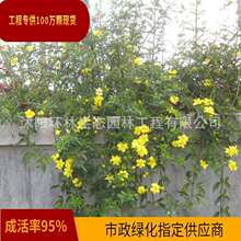 ӭ�����S��ܰ���ӵ����̾G����ľ�ϱ����Nֲ���ٴ����Gֲ����ֱ�N