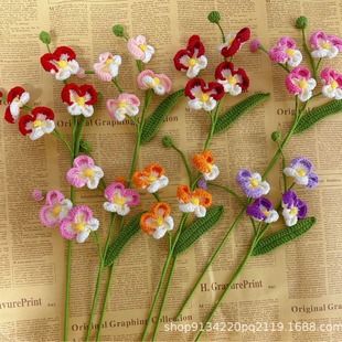 �����m��Ʒ���ֹ����������ҾӔ[���h�����滨ë��ᘿ��Y����Ů��