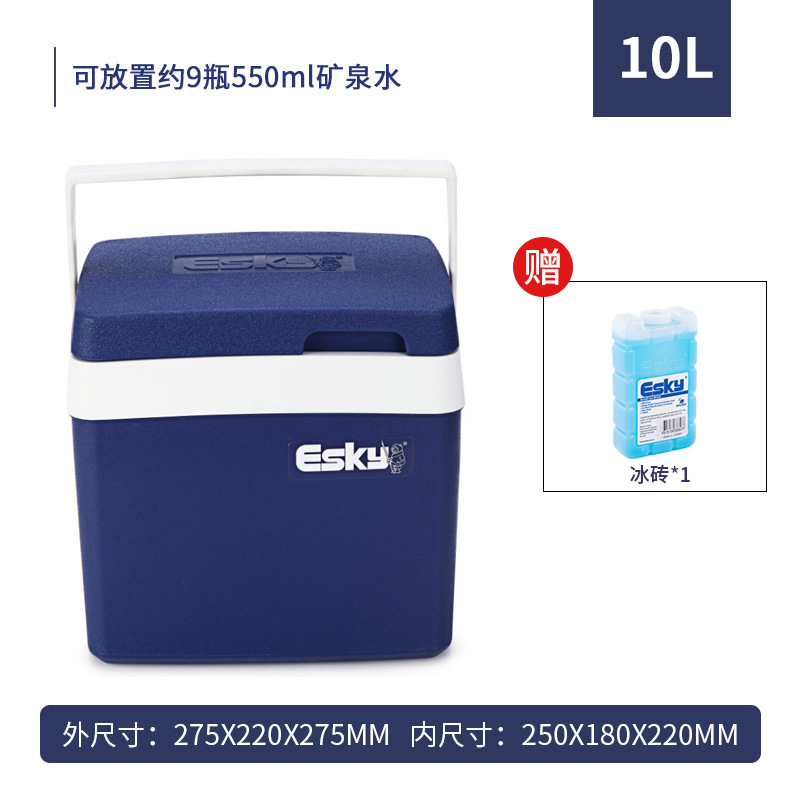 ESKY10L plástico clásico PU caja de aislamiento refrigerador de bebidas para llevar al aire libre regalo de Año Nuevo caja de regalo de alta calidad