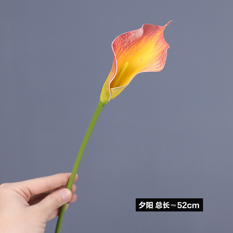 선셋 트럼펫 48cm