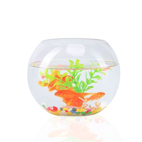 Office Fish Tank Thick Transparent Glass Turtle Tank Living Room Home Use Desktop Round Mini Goldfish Tank