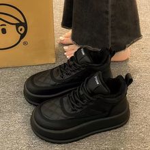 ѩѥŮ2025¿|ѥӽqůRѥŮЬ