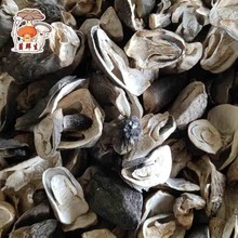 新貨草菇蘭香菇腳農家土特產特級草菇干蘑菇香菇類煲湯干貨食品大