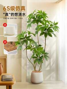 ���~��Gֲ�k���ұ���������b������҃ȷ���ֲ��٘���������