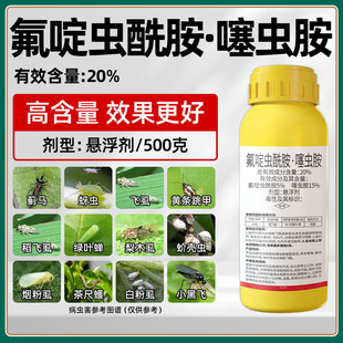 20%����x�������x��С�����x���xā�xС���w�����Ҙ�����߲�