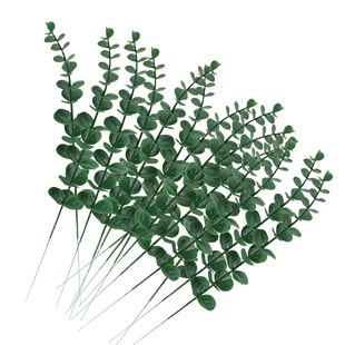 ����Gֲ��֧�ȼ��� �҃��b廨�[���Gֲ�羳��ʽɭϵ��������