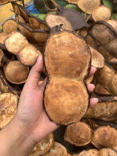 ��ϴ��v���l�}�����ֹ�diy ֲ���^����ƽ�����Ҿ��b[��