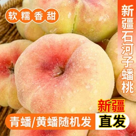 红枣干;葡萄干;哈密瓜