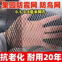 �����W �����߲˴�������W���������љ��ҷ��o�W�����ѷ��B�W