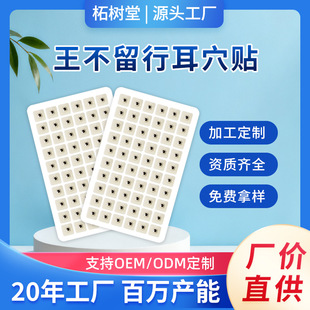 ���ƶ�Ѩ�N���������Ѷ����N��鉺���N������ӹ���Ѩ�������N