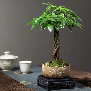 �lؔ����ؔ���F���D�\�҃�С�����k���ҿ��҃�����Gֲ����ȩ���B