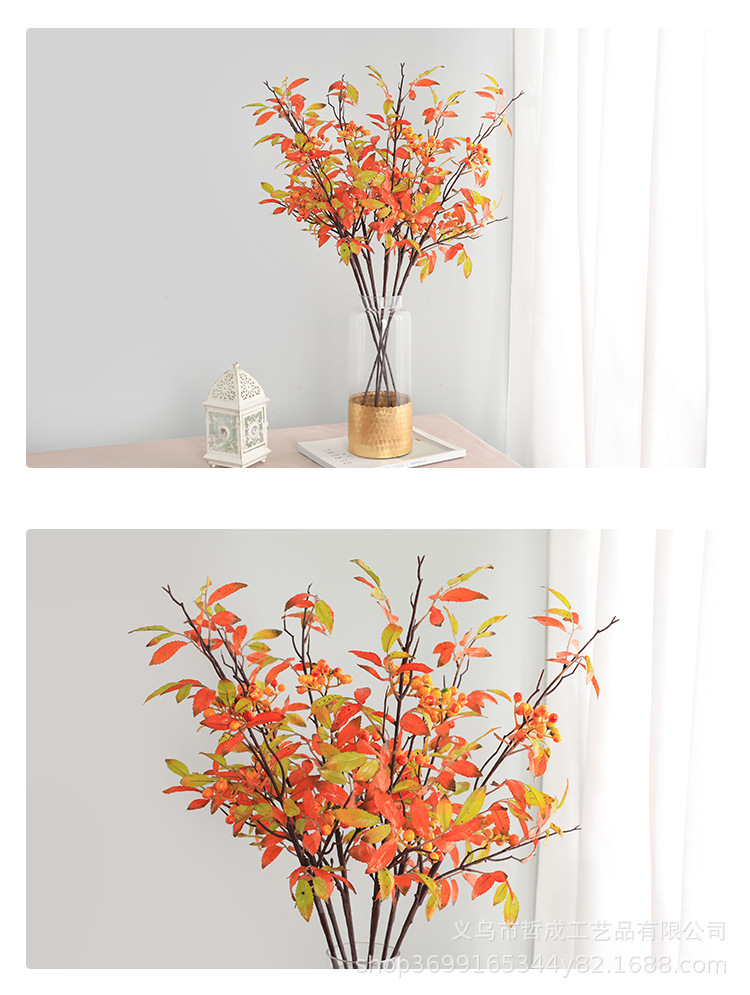 O1CN01DUm4pI1Fz9GuIUtuW_!!9481