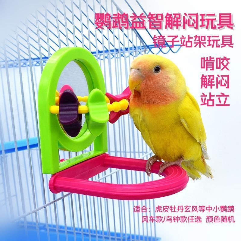 笼养鸟自娱自乐玩具 鸟笼啃咬玩具磨牙鹦鹉镜子玩具解闷|undefined