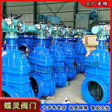 DN200ܛܷ늄lyZ945X-16QһwQT450|