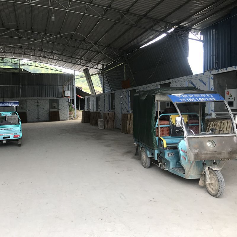 【Direct from Base】Gutian Button Mushroom Dried Shredded Wholesale 500g Direct from Origin