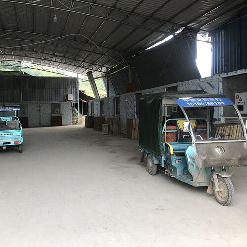 【Direct from Base】Gutian Button Mushroom Dried Shredded Wholesale 500g Direct from Origin