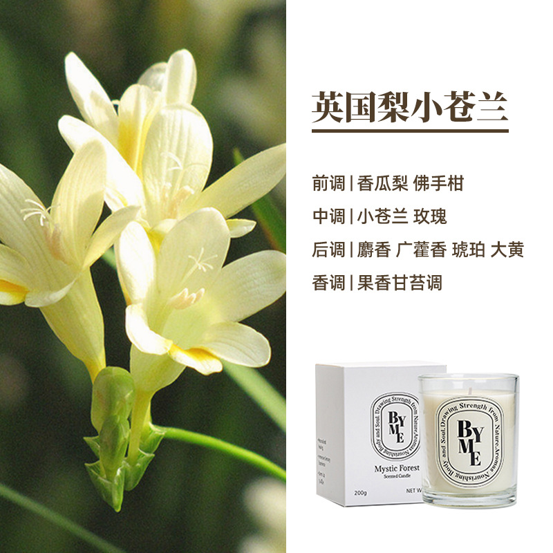 Byme cera de soja aromaterapia vela gran capacidad planta aceite esencial aromaterapia decoración interior avanzada mano traje regalo