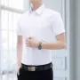 修身职业短袖春秋季衬衣