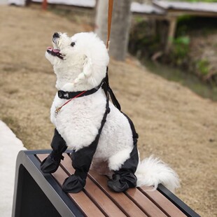 Cross-Border Pet Supplies, Outdoor Dog Shoes, Pet Shoes, Anti-Dirty Dog ​​Shoes, All-Season Waterproof and Non-Slip Dog Shoes