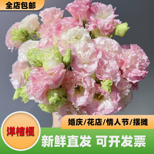 ���r��۹��r�����l��ϻ���ֱ���r�л��ҾӲ廨��c���û����仨