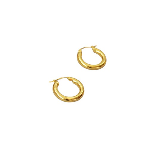 European and American Cold Metal Style Minimalist Personality Fashion Exquisite Brass Plated Gold Small Thick Hoop Earrings Earrings Accessories