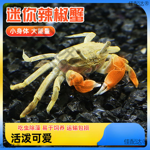 ���l��������з�ɻ��B�з�^�pз����з���x���嵭΢���^з