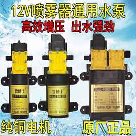 农用电动喷雾器水泵隔膜泵12V高压泵电动泵微型电动隔膜泵洗车泵