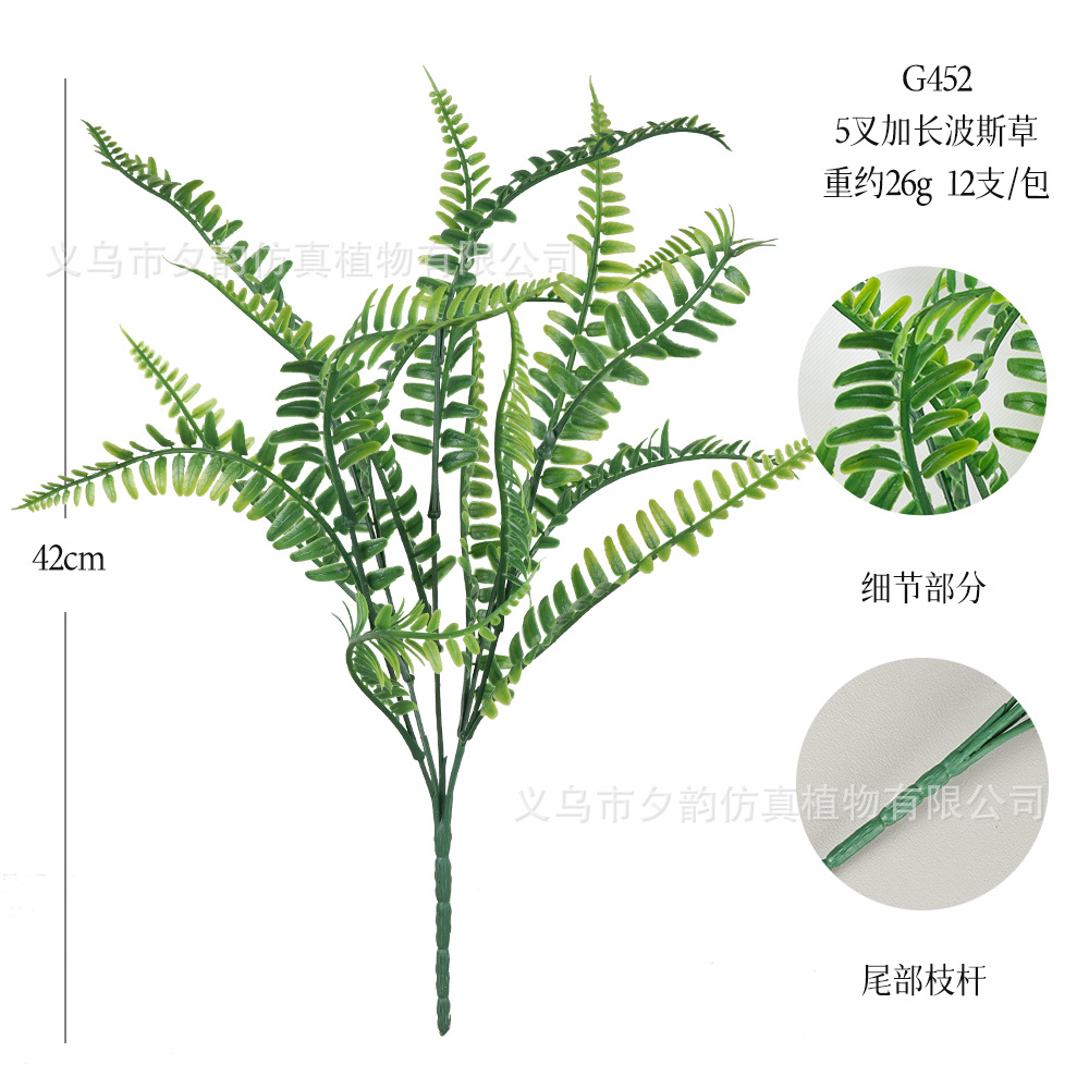 G452-5 포크 확장 페르시아 잔디