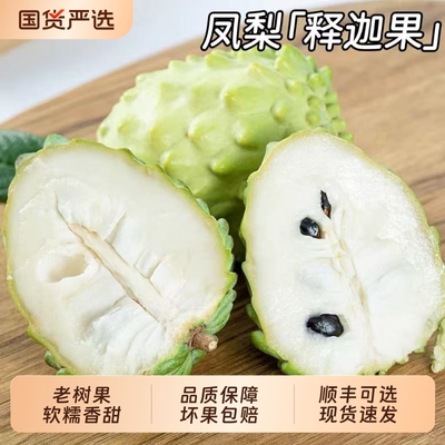 顺丰包邮云南释迦果新鲜番荔枝5斤大凤梨牛奶佛头果当季新鲜水果|ms