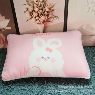 Customizable Children's Pillow Core Washable Cartoon Pillowcase Pillow Leather Summer Children's Removable